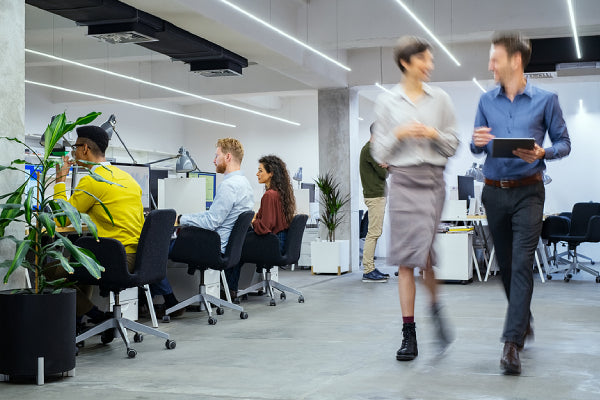 Office Design and How It Mutually Relates to Productivity