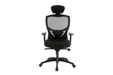 Venus Office Executive Chair with Midback Mesh Backrest and Headrest and Nylon Base and Casters Front View